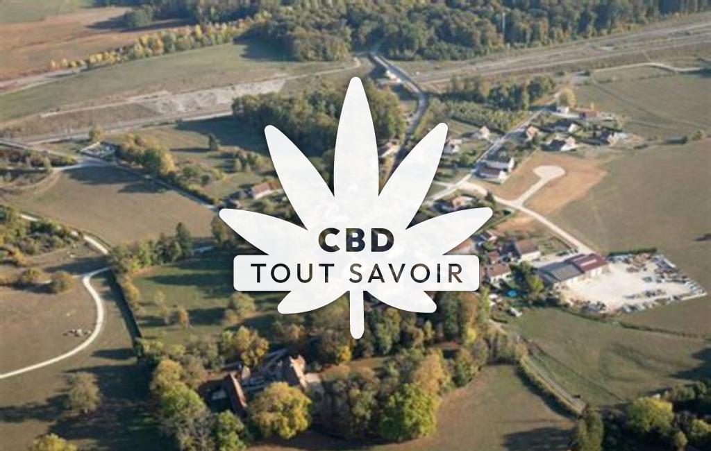 Village à Chevroz avec feuille Cannabis CBD