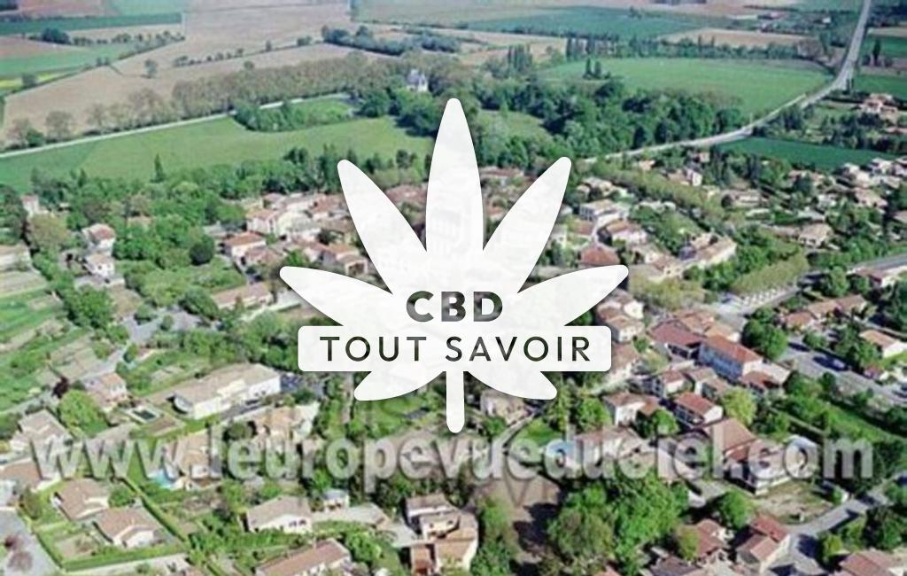 Village à Montelier avec feuille Cannabis CBD