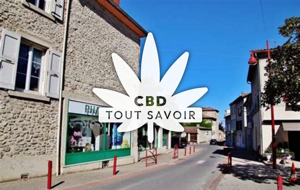 Village à Montmeyran avec feuille Cannabis CBD