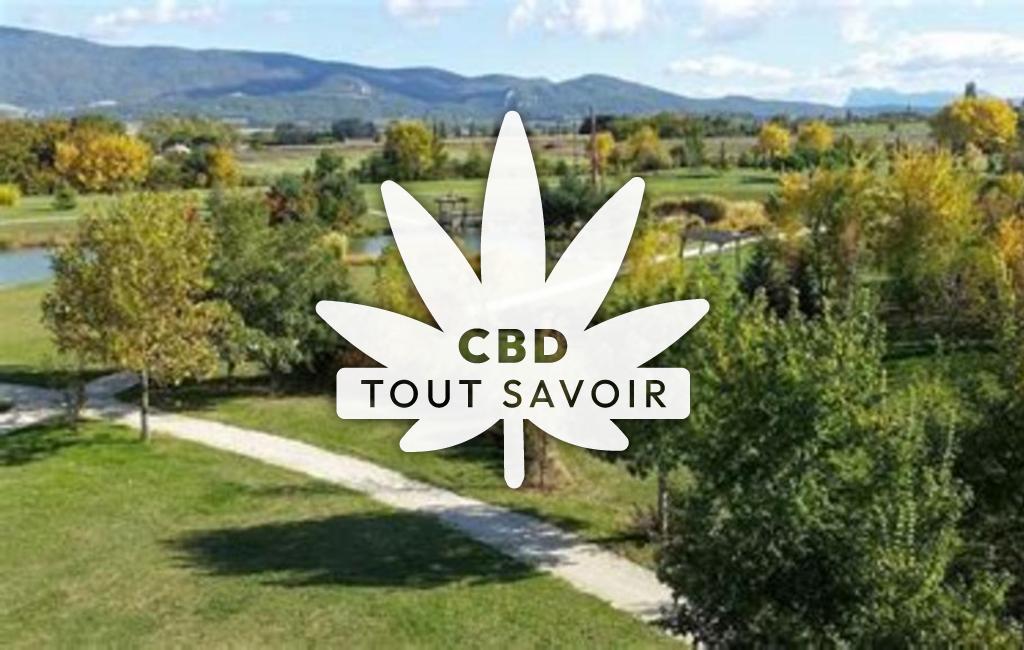 Village à Upie avec feuille Cannabis CBD