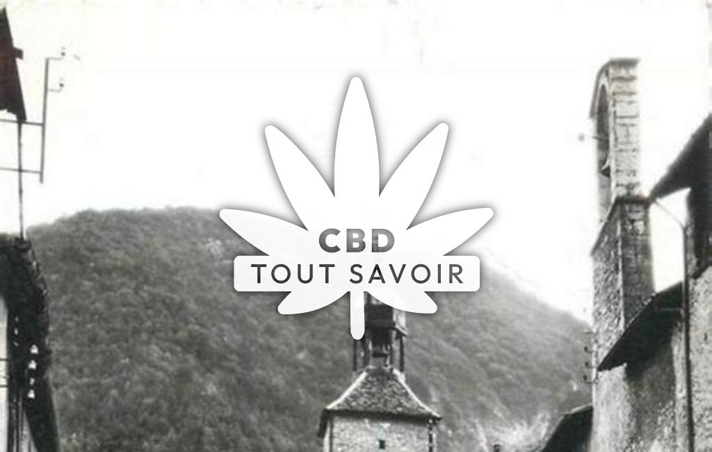 Village à Marignac-en-Diois avec feuille Cannabis CBD