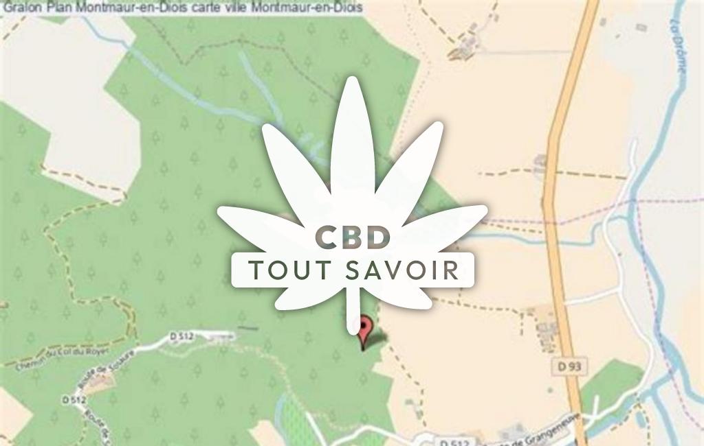 Village à Montmaur-en-Diois avec feuille Cannabis CBD
