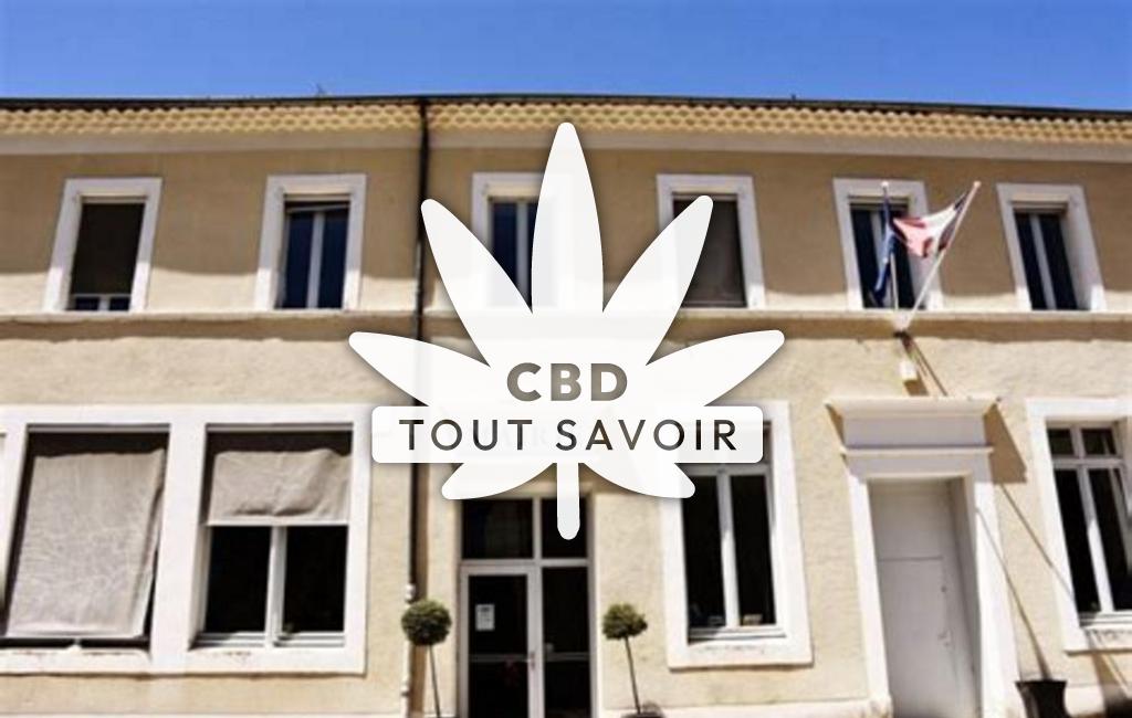 Village à Saint-Julien-en-Quint avec feuille Cannabis CBD