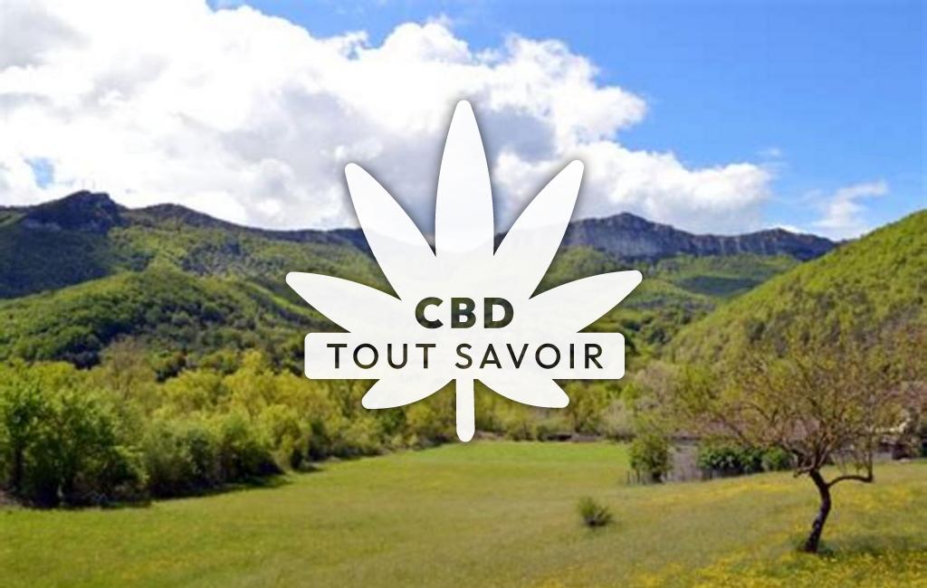 Village à Felines-sur-Rimandoule avec feuille Cannabis CBD