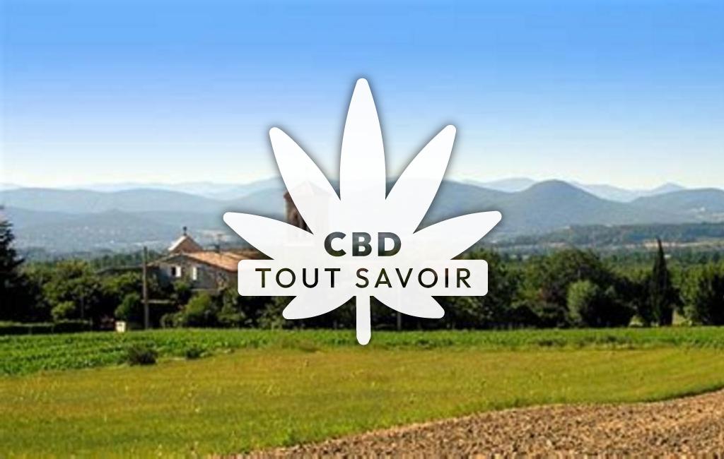Village à Portes-en-Valdaine avec feuille Cannabis CBD