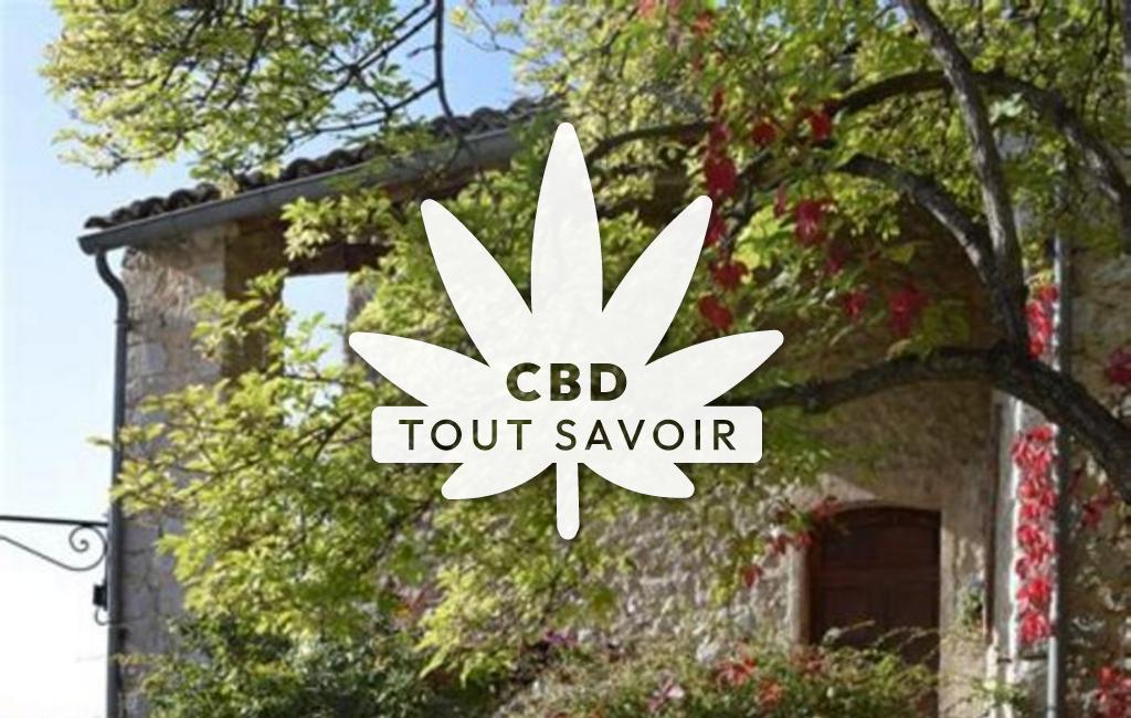 Village à La-Roche-sur-le-Buis avec feuille Cannabis CBD