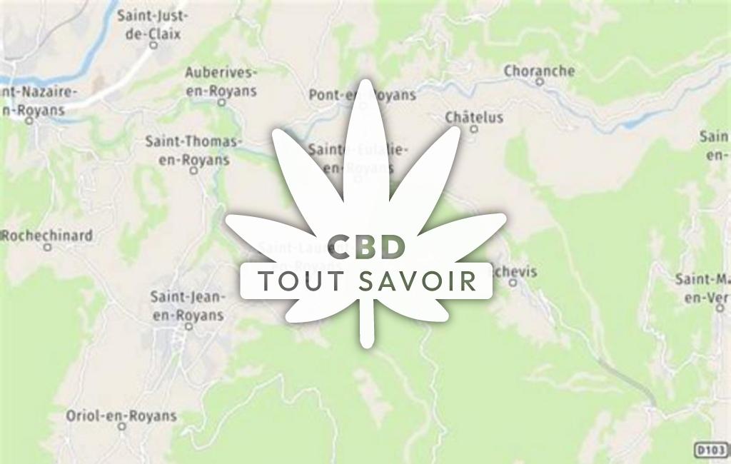 Village à Saint-Laurent-en-Royans avec feuille Cannabis CBD