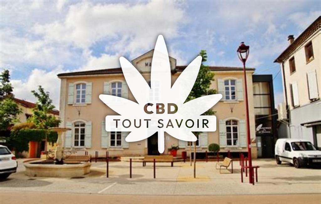 Village à Saint-Barthelemy-de-Vals avec feuille Cannabis CBD