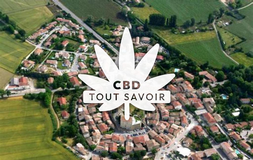 Village à Alixan avec feuille Cannabis CBD