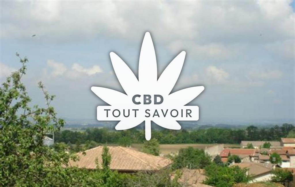 Village à Charpey avec feuille Cannabis CBD
