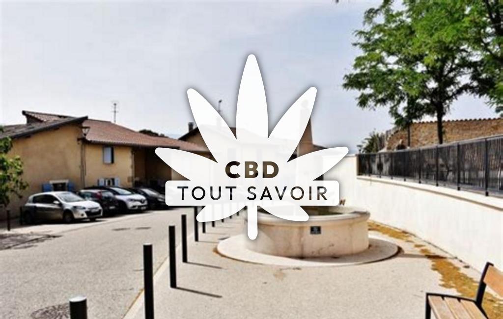 Village à Chatuzange-le-Goubet avec feuille Cannabis CBD