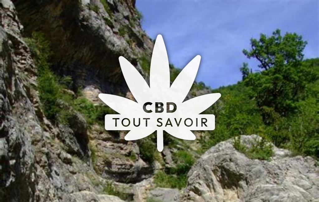 Village à Brette avec feuille Cannabis CBD