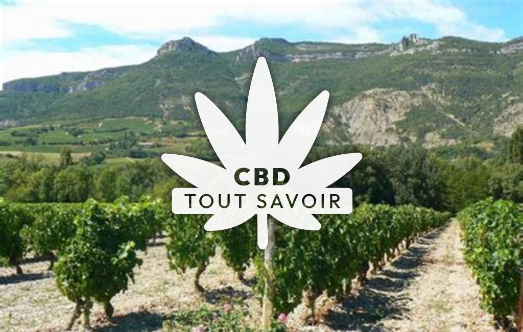Village à Vercheny avec feuille Cannabis CBD