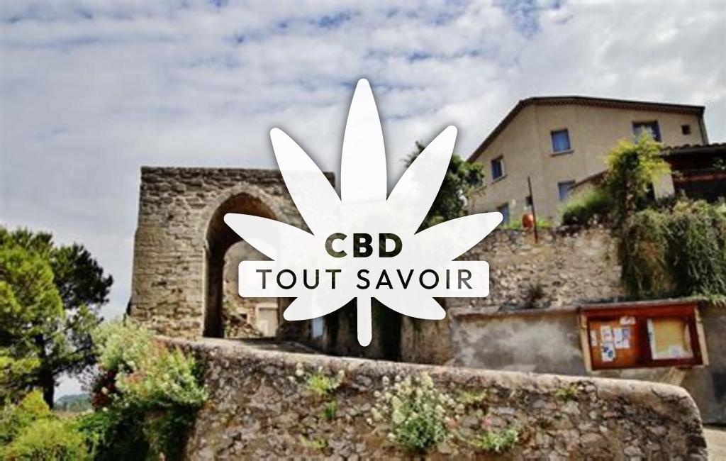 Village à Vaunaveys-la-Rochette avec feuille Cannabis CBD