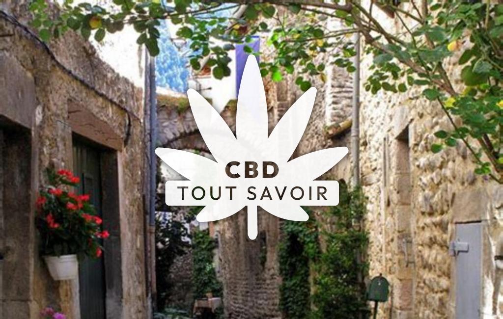 Village à Chatillon-en-Diois avec feuille Cannabis CBD