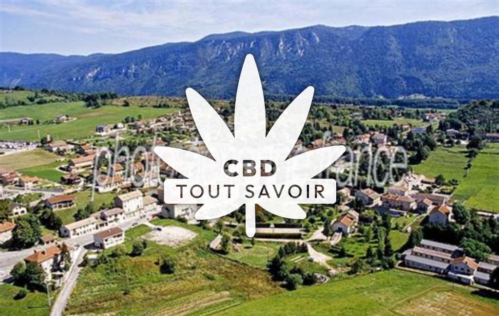 Village à La-Chapelle-en-Vercors avec feuille Cannabis CBD
