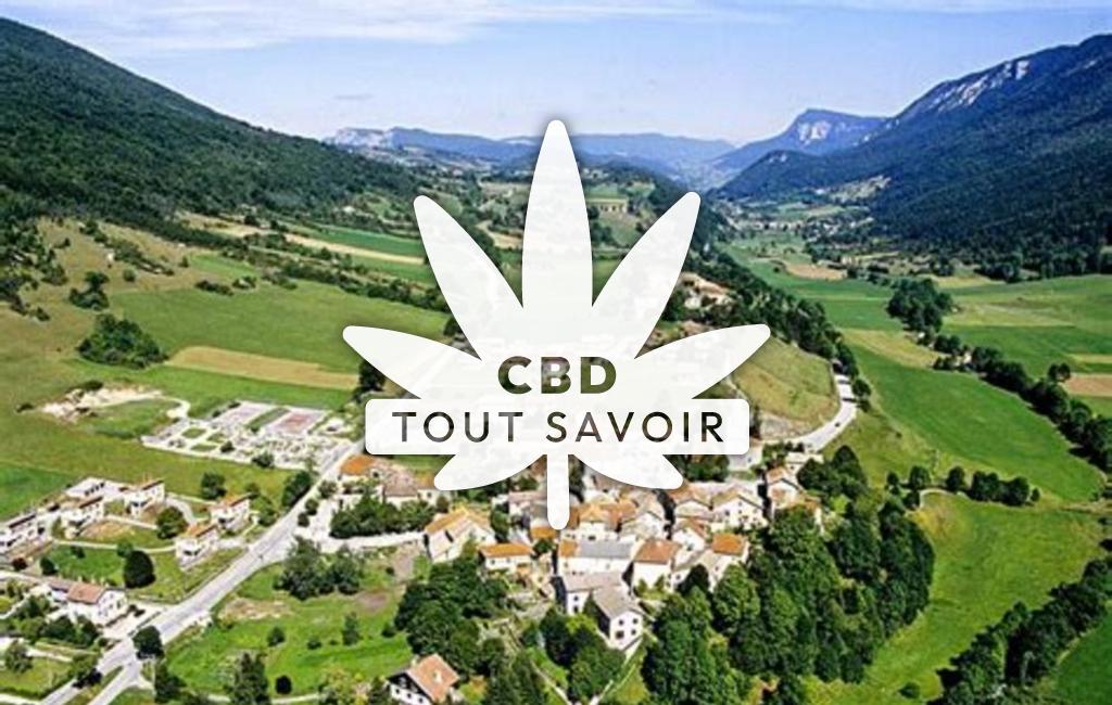 Village à Saint-Agnan-en-Vercors avec feuille Cannabis CBD