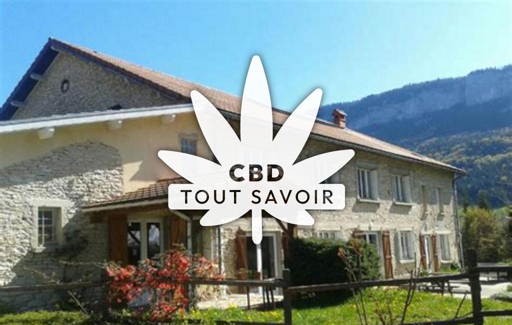 Village à Saint-Julien-en-Vercors avec feuille Cannabis CBD
