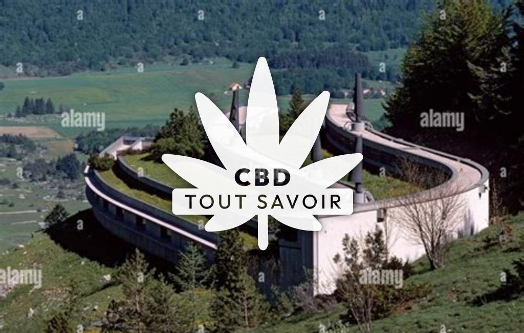 Village à Vassieux-en-Vercors avec feuille Cannabis CBD