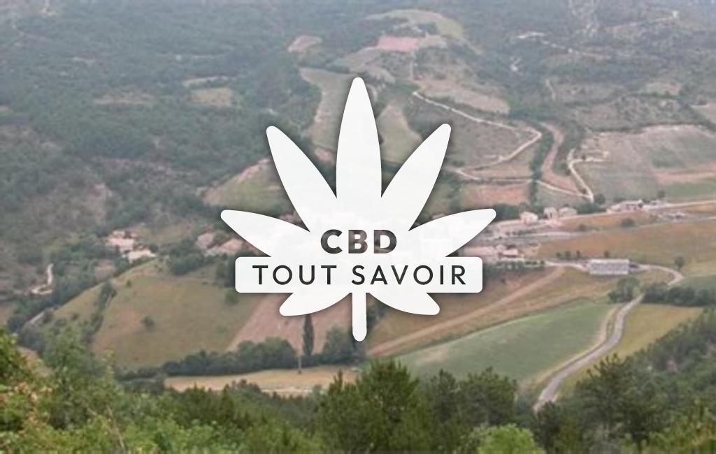Village à Volvent avec feuille Cannabis CBD