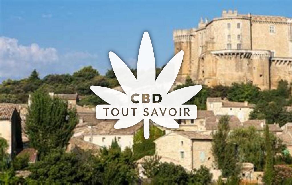 Village à Villefranche-le-Chateau avec feuille Cannabis CBD