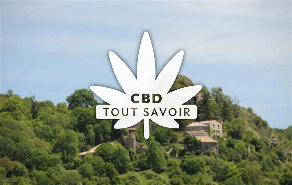 Village à Barret-de-Lioure avec feuille Cannabis CBD