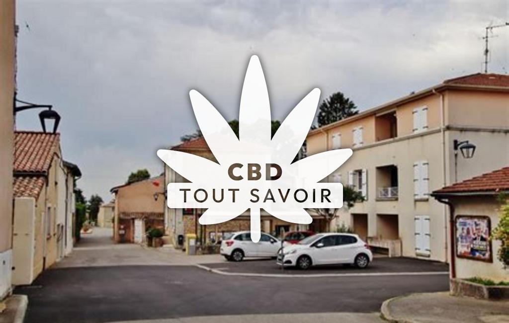 Village à Chanos-Curson avec feuille Cannabis CBD