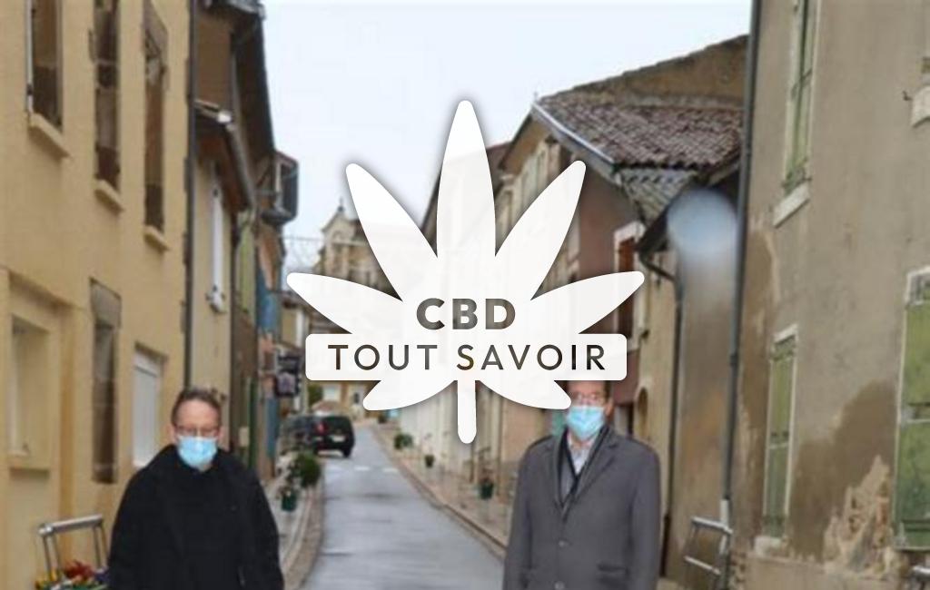 Village à Mercurol-Veaunes avec feuille Cannabis CBD