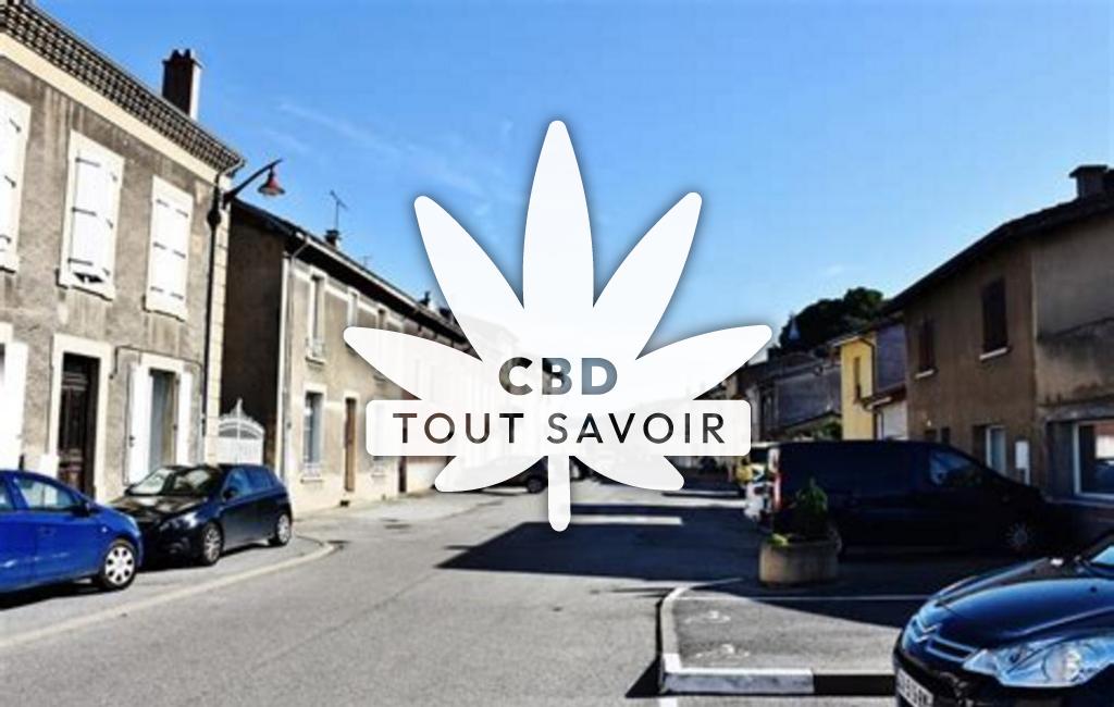 Village à Serves-sur-Rhone avec feuille Cannabis CBD