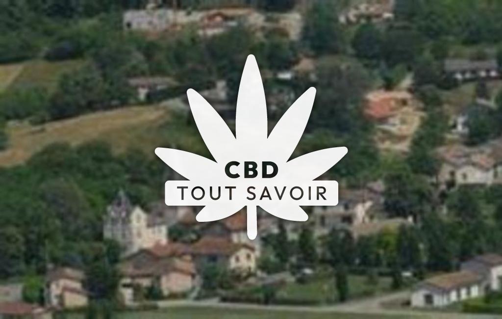 Village à La-Baume-D'Hostun avec feuille Cannabis CBD