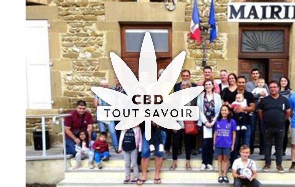 Village à Saint-Michel-sur-Savasse avec feuille Cannabis CBD