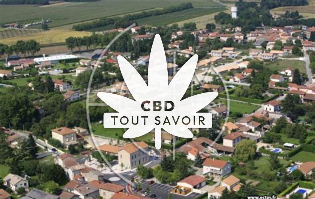 Village à Saint-Paul-les-Romans avec feuille Cannabis CBD