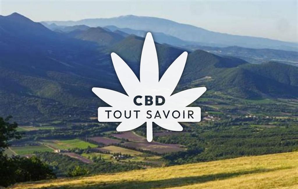 Village à Roche-Saint-Secret-Beconne avec feuille Cannabis CBD