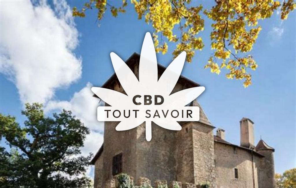 Village à Charmes-sur-l'Herbasse avec feuille Cannabis CBD