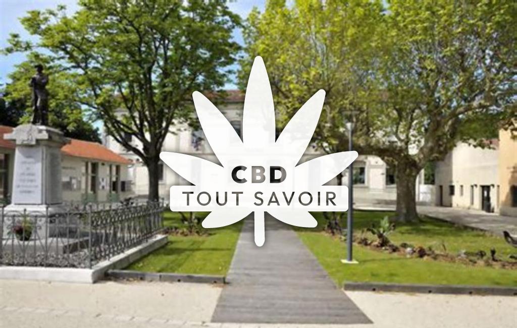 Village à Peyrins avec feuille Cannabis CBD