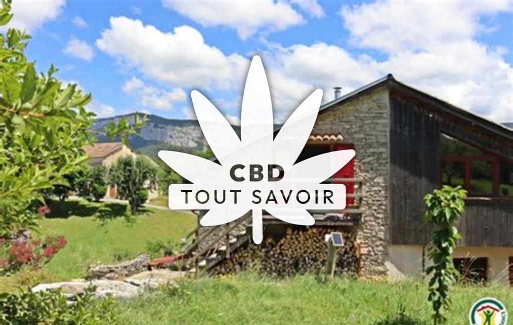 Village à Saint-Martin-en-Vercors avec feuille Cannabis CBD