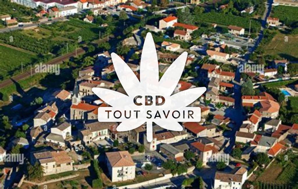 Village à Gervans avec feuille Cannabis CBD