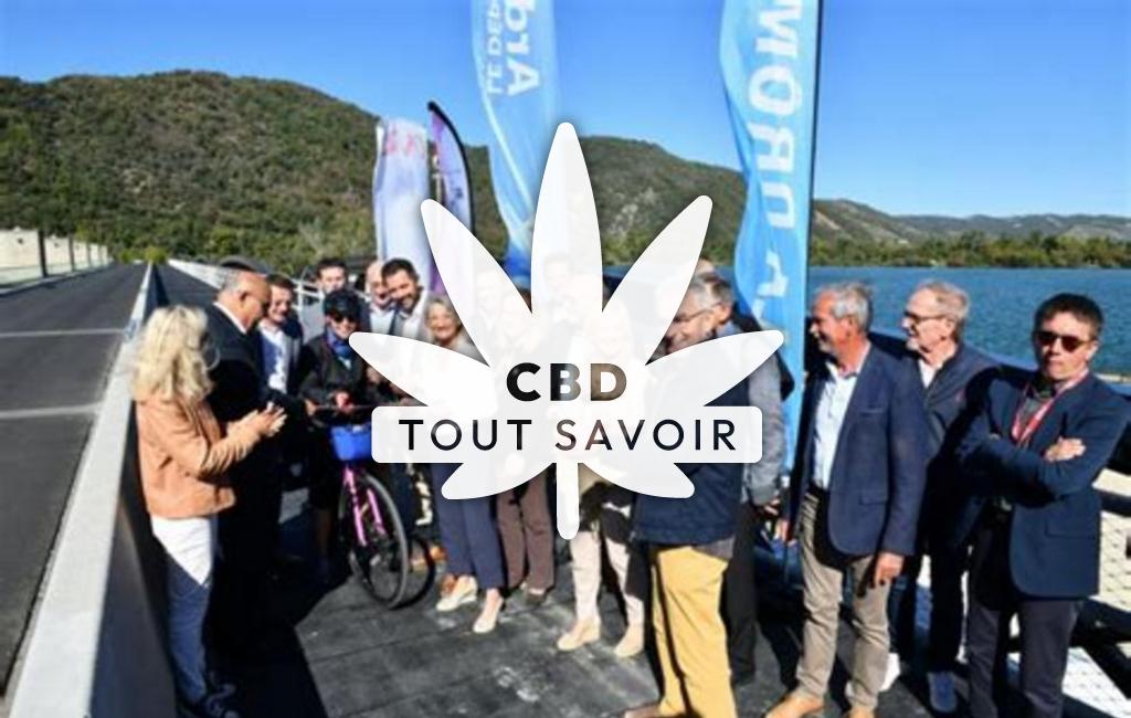 Village à La-Roche-de-Glun avec feuille Cannabis CBD