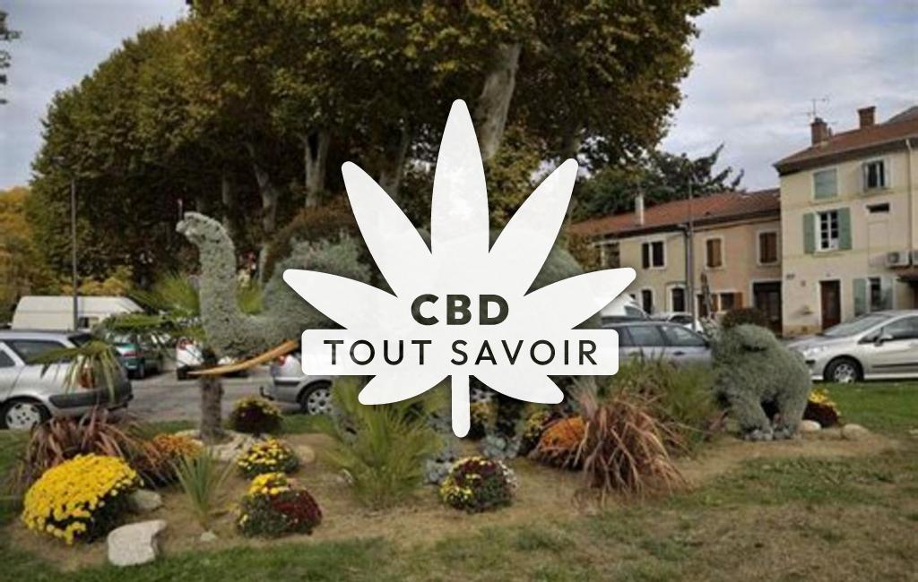 Village à Tain-l'Hermitage avec feuille Cannabis CBD