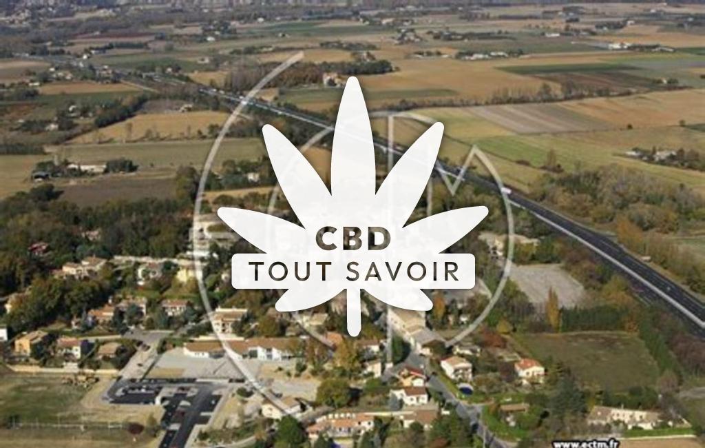 Village à Montboucher-sur-Jabron avec feuille Cannabis CBD