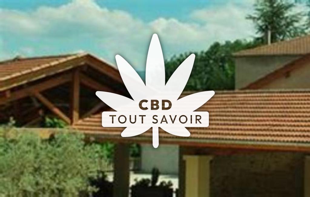 Village à Chatillon-Saint-Jean avec feuille Cannabis CBD