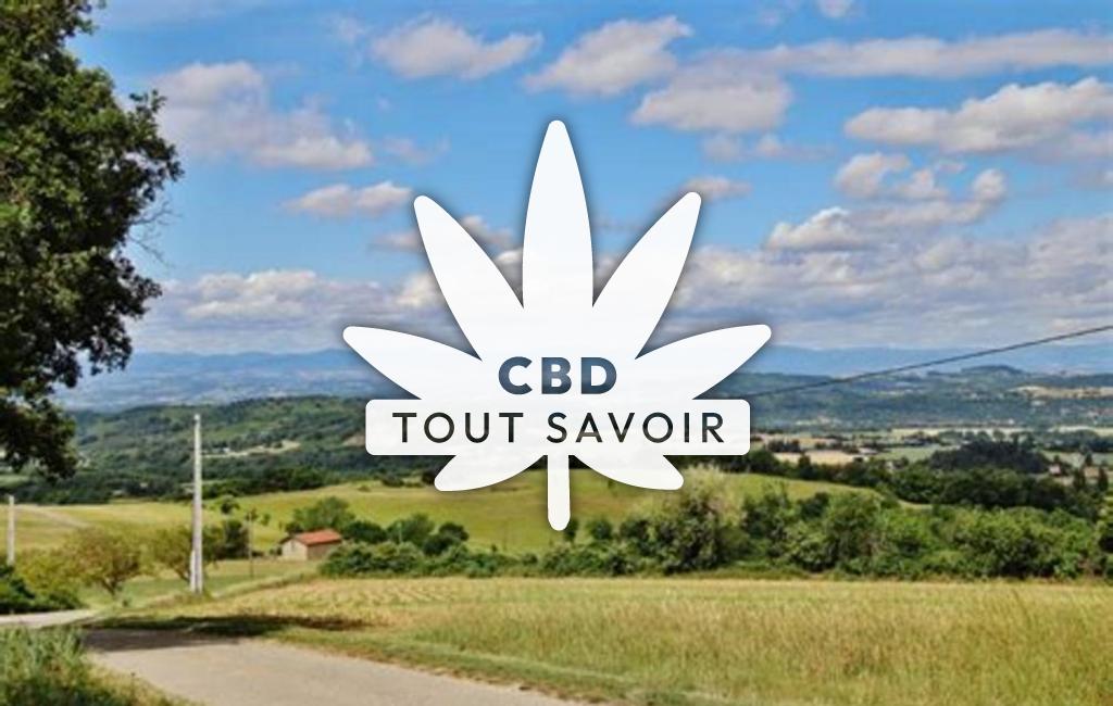 Village à Geyssans avec feuille Cannabis CBD