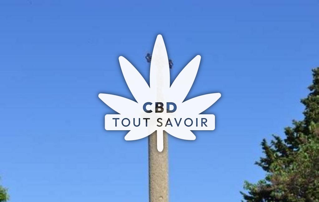 Village à Ambonil avec feuille Cannabis CBD