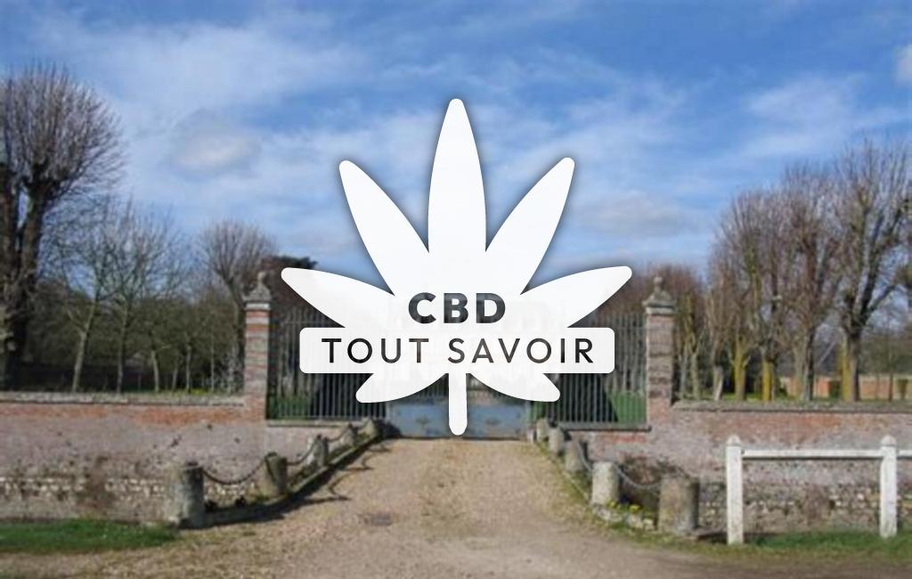 Village à Berengeville-la-Campagne avec feuille Cannabis CBD