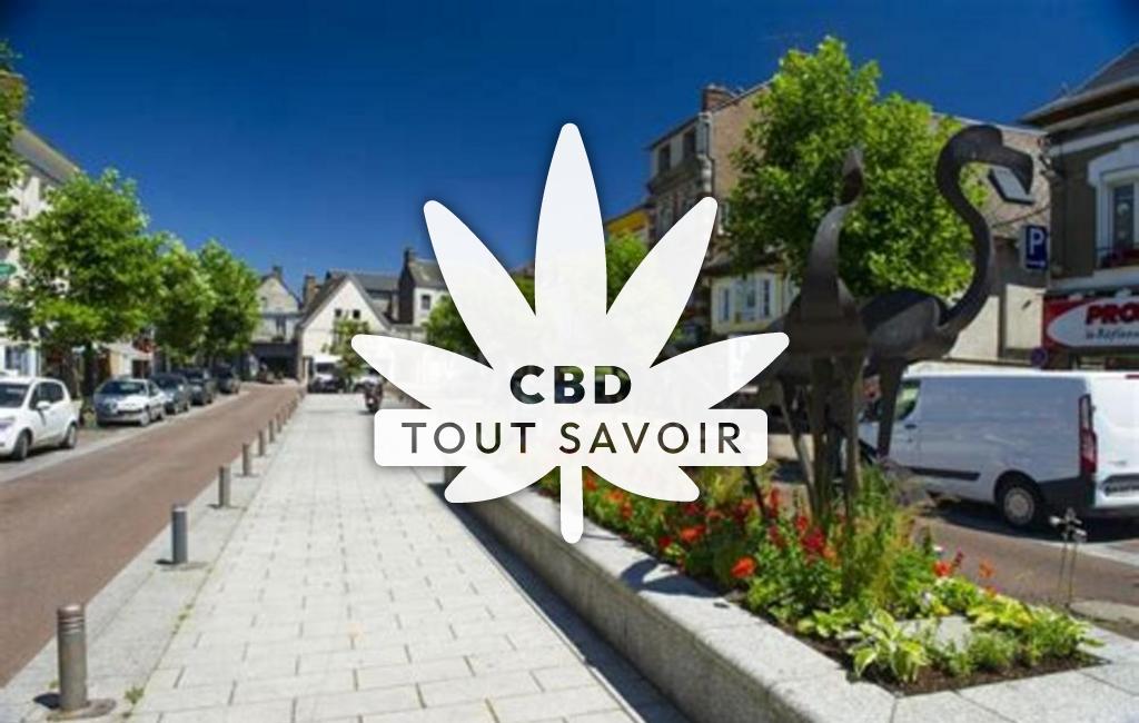 Village à Le-Tilleul-Lambert avec feuille Cannabis CBD
