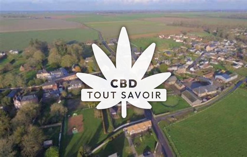 Village à Saint-Aubin-D'Ecrosville avec feuille Cannabis CBD