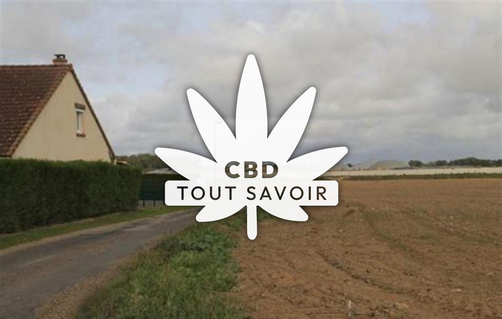 Village à Sainte-Colombe-la-Commanderie avec feuille Cannabis CBD