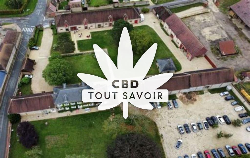 Village à Chauvincourt-Provemont avec feuille Cannabis CBD
