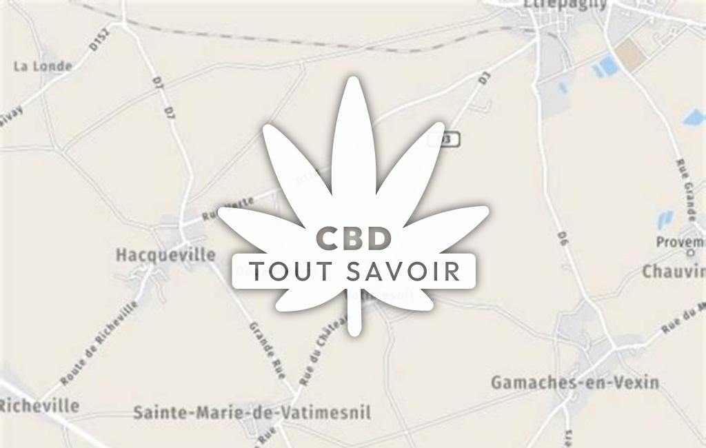 Village à Sainte-Marie-de-Vatimesnil avec feuille Cannabis CBD