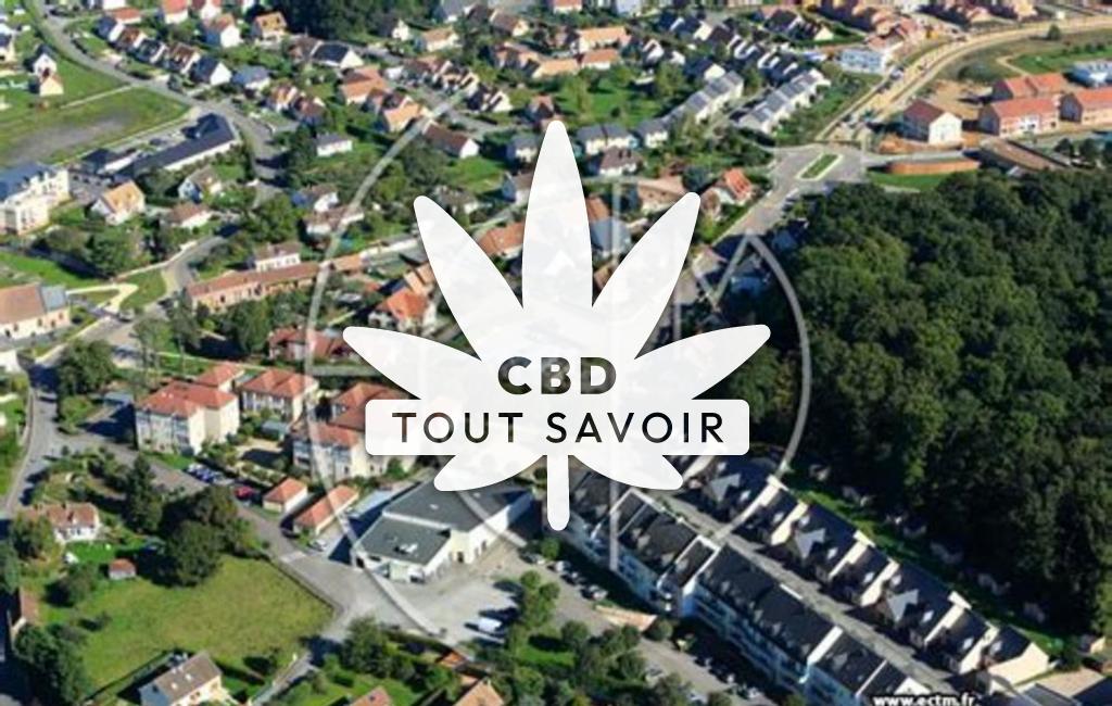 Village à Saint-Sebastien-de-Morsent avec feuille Cannabis CBD